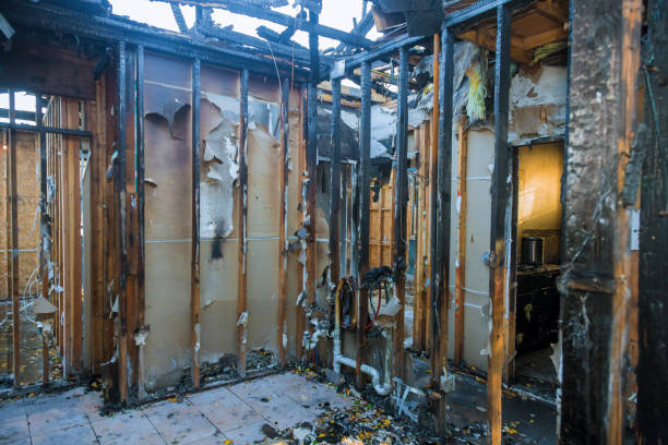 Professional Smoke Damage Removal technician working in Kiryas Joel, NY